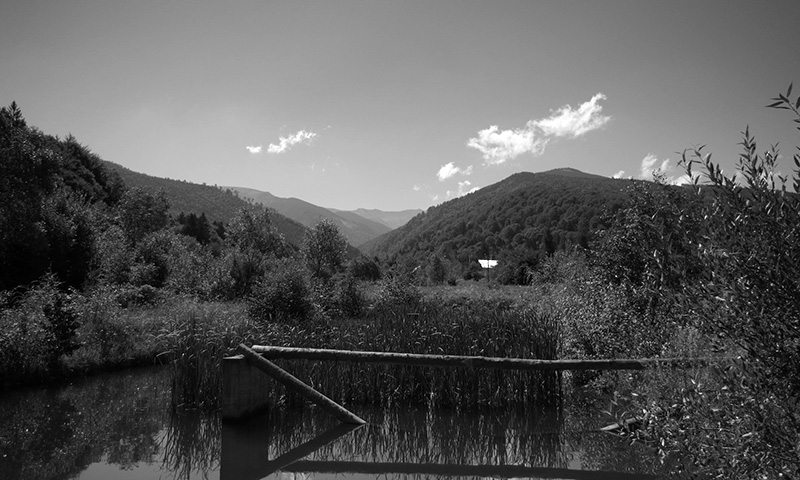 LEB